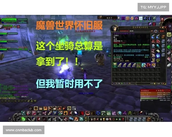 魔兽世界怀旧服：坐骑装备打孔攻略